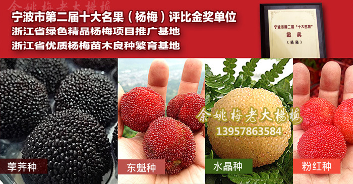 1e4df9ed-fc43-4607-806a-dee07d