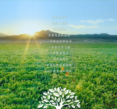 生根菌肥 微生物菌剂 调节土壤 各种植物均可用 植物营养 有机肥