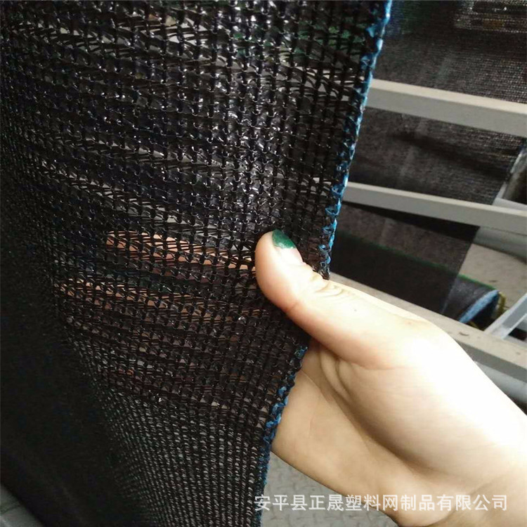 4445221454_577621428