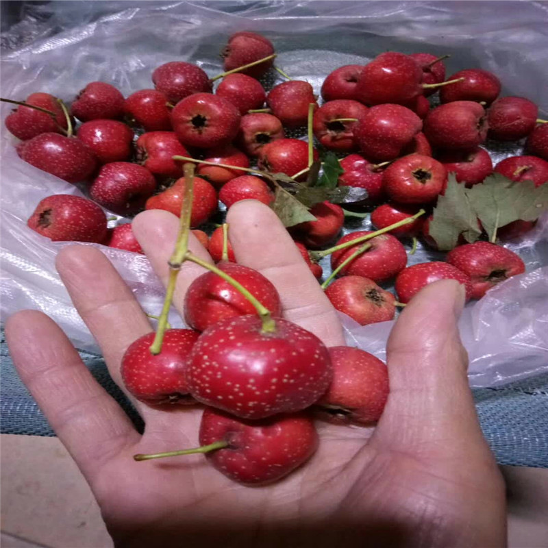 寰俊鍥剧墖_20171029102454