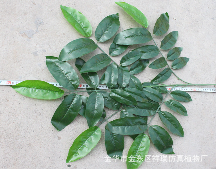 XRB-007五叉核桃叶平面枝2