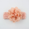 Shiffon children's headband, hair mesh, Korean style, flowered, ebay, wish