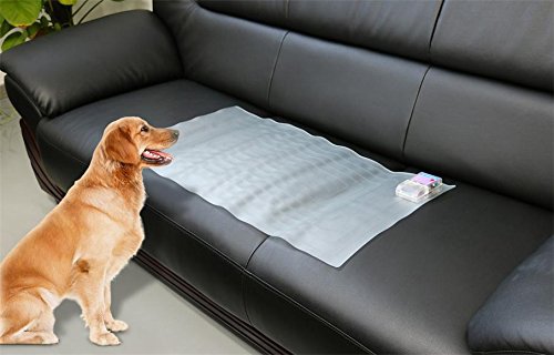 Pet Mat 2