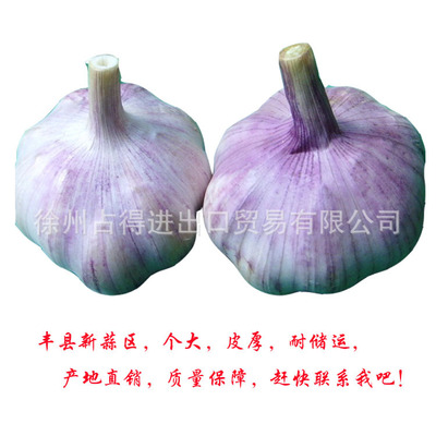 大蒜洋葱普白纯白蒜红蒜白蒜紫蒜丰县大蒜新基地价格低质量高|ru