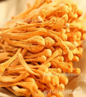 徽信远中药材选装虫草花不熏硫磺蛹虫草金虫草