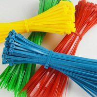  塑料插销式汽车扎线带 固定座尼龙绑扎束线带组合批发