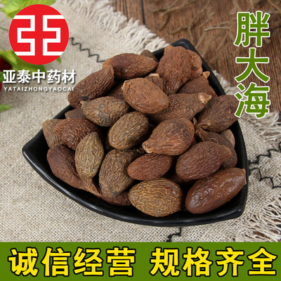 批發中藥材胖大海 各種規格長果圓果胖大海量大從優農産品加工