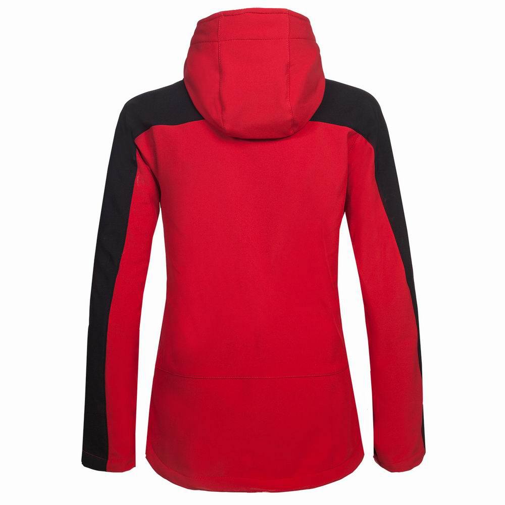 调整大小 IMG_6056