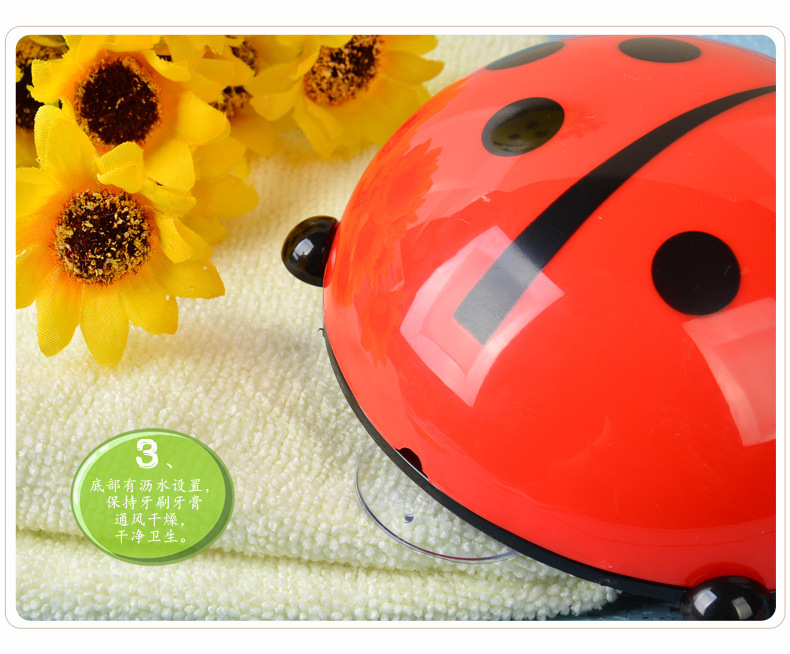 RB228飘虫牙刷架07