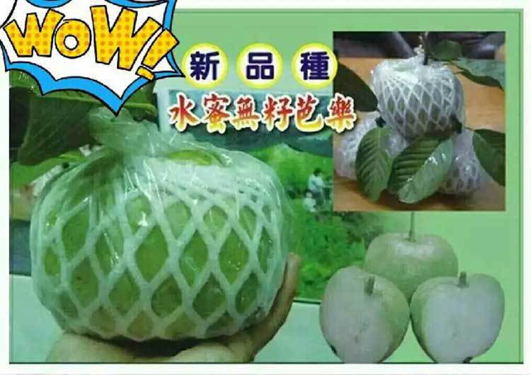 150094784728216528_cuncunleSma