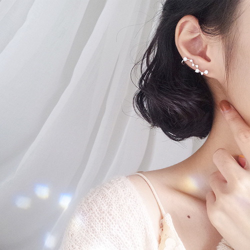 Temperament star earrings 925 sterling silver earrings Korean earrings for women zircon sterling silver jewelry versatile silver jewelry