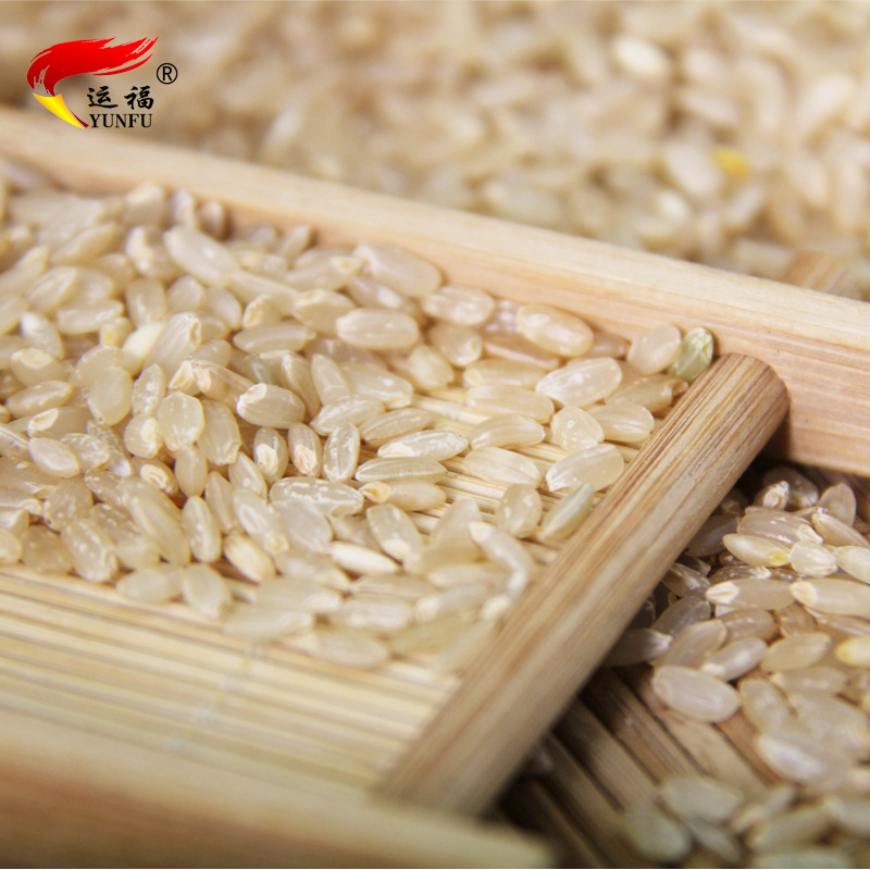 東北糙米500g 黑龍江産地直發