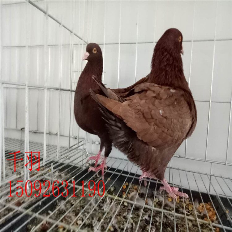 微信图片_20170926192309