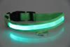 3D highlighting pet LED light -emitting dog collar bumpy feeling increases his brightness 6 colors and 4 specifications