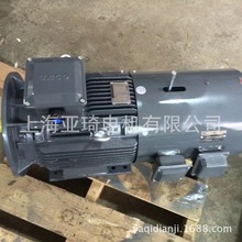 基频180HZ变频电机各频率变频电机 高速变频电机 加编码器