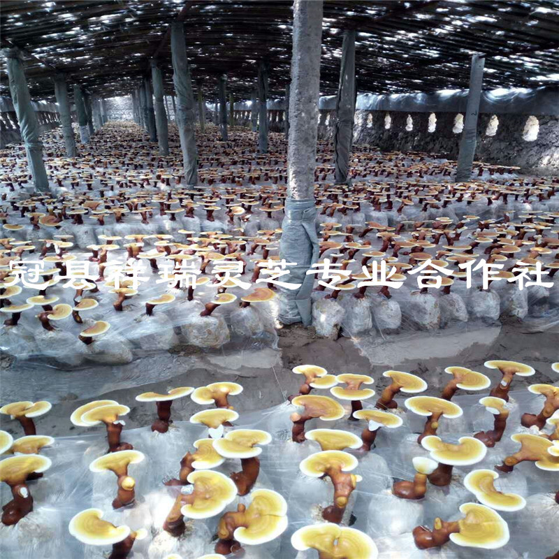 mmexport1499441295458