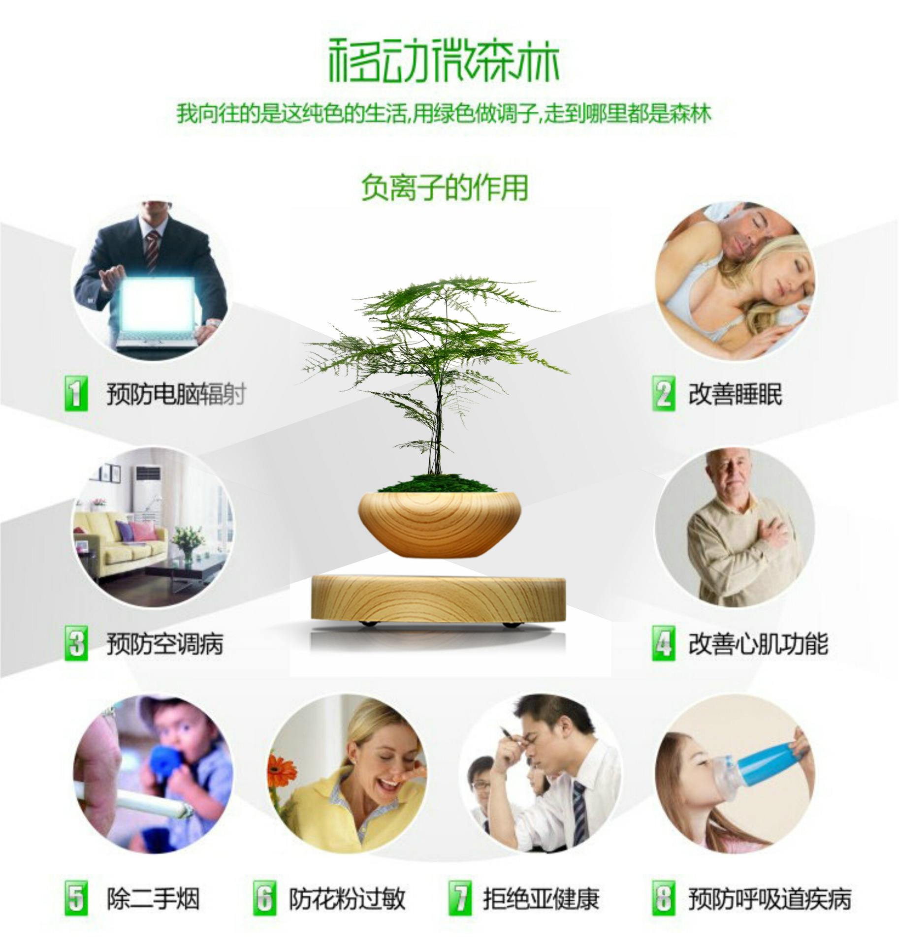 小木纹盆栽 9