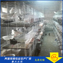 厂家批发横拉门白鸽笼 批发四层16位鸽笼子 4层16位养殖用鸽子笼