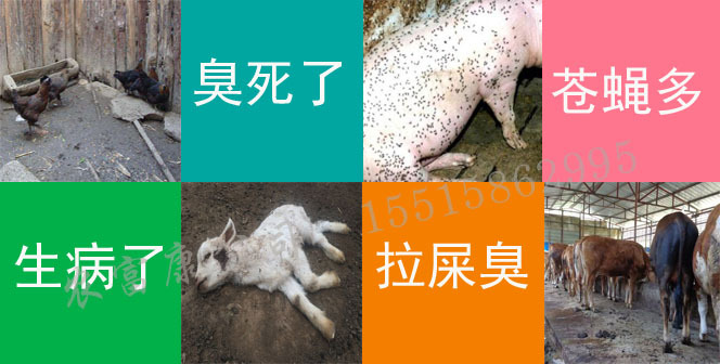 鸡圈猪圈除臭消毒液