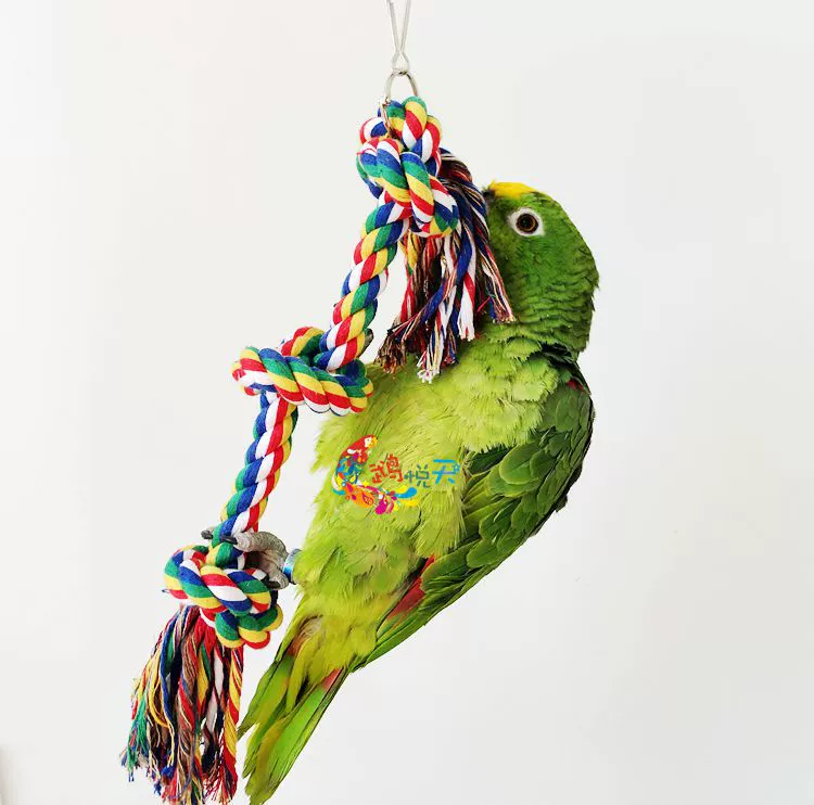 Игрушка для повреждения укуса попугая Qiyue/игрушка для лазания/игрушка из хлопковой веревки, устойчивая к укусам