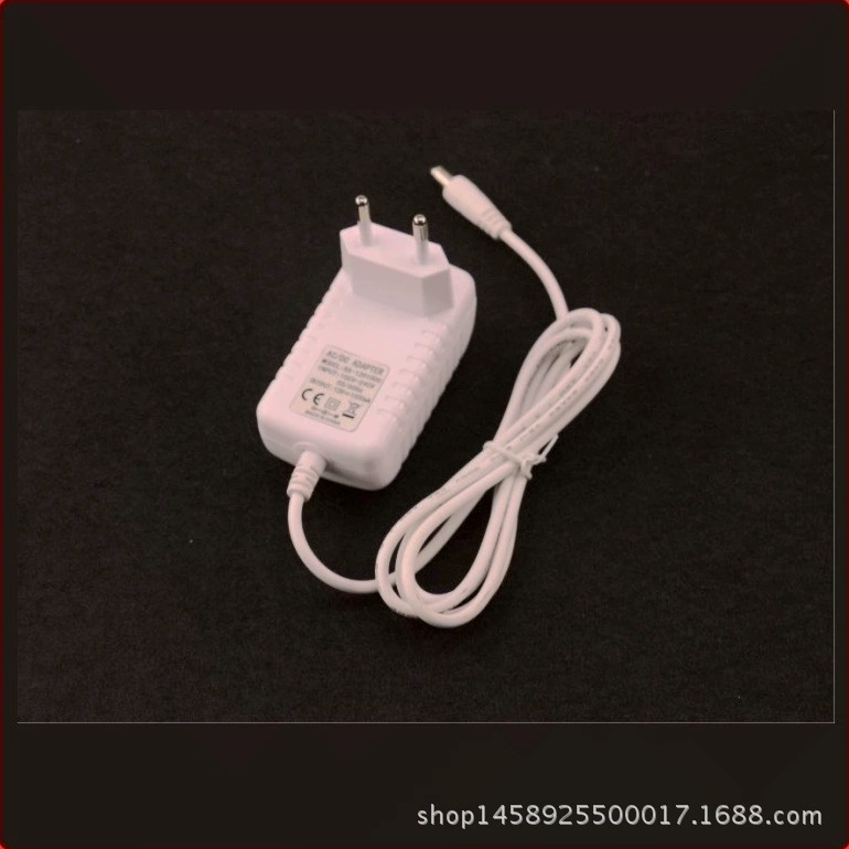 White electric switch key, power adapters, 12v, pet