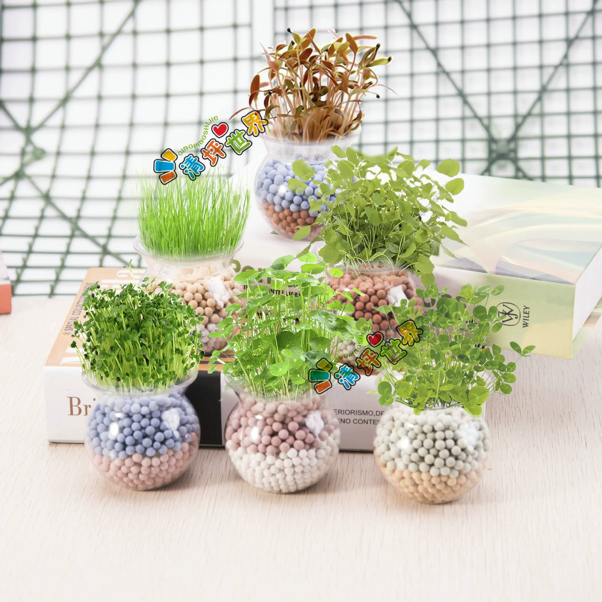 Взрывы (двухцветный заветный горшок отрицательный ион Горшечное растение) настольное творческое растение бонсай детский сад Горшечное растение