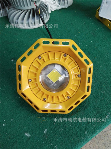 LED免维护防爆泛光灯 50w 70wLED吊杆式泛光灯