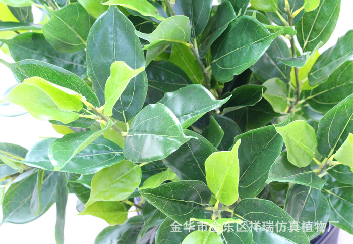 XRB-008香樟叶五叉枝立体2