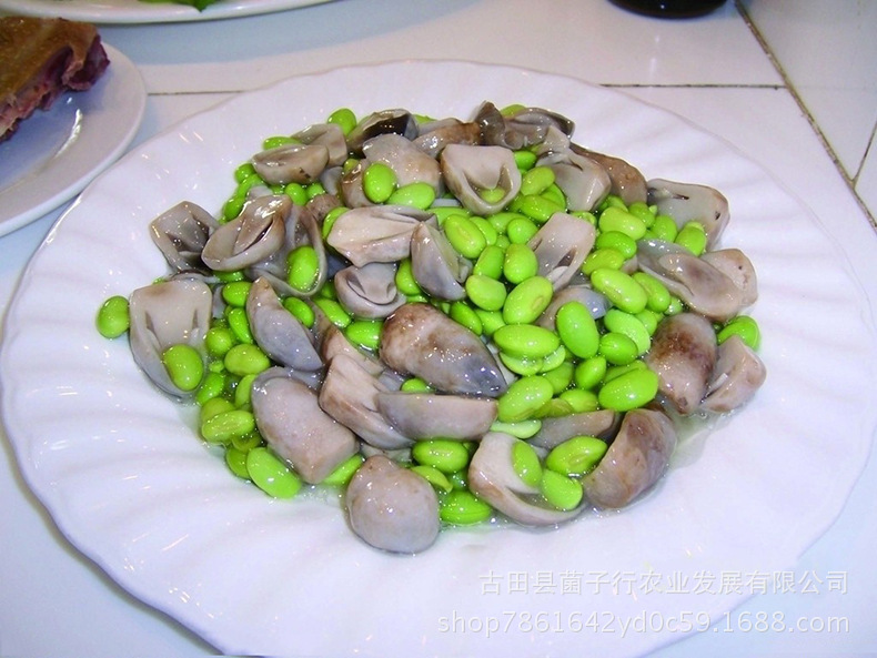 2967123778_1766974570