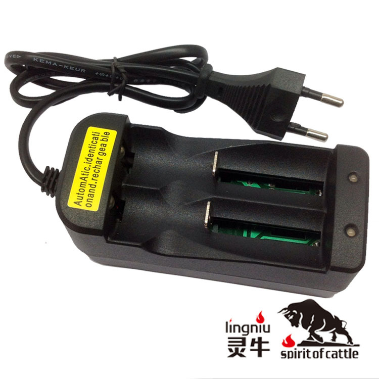 欧规18650双槽  RCR123A电池充电器 正负极智能识别 双通道