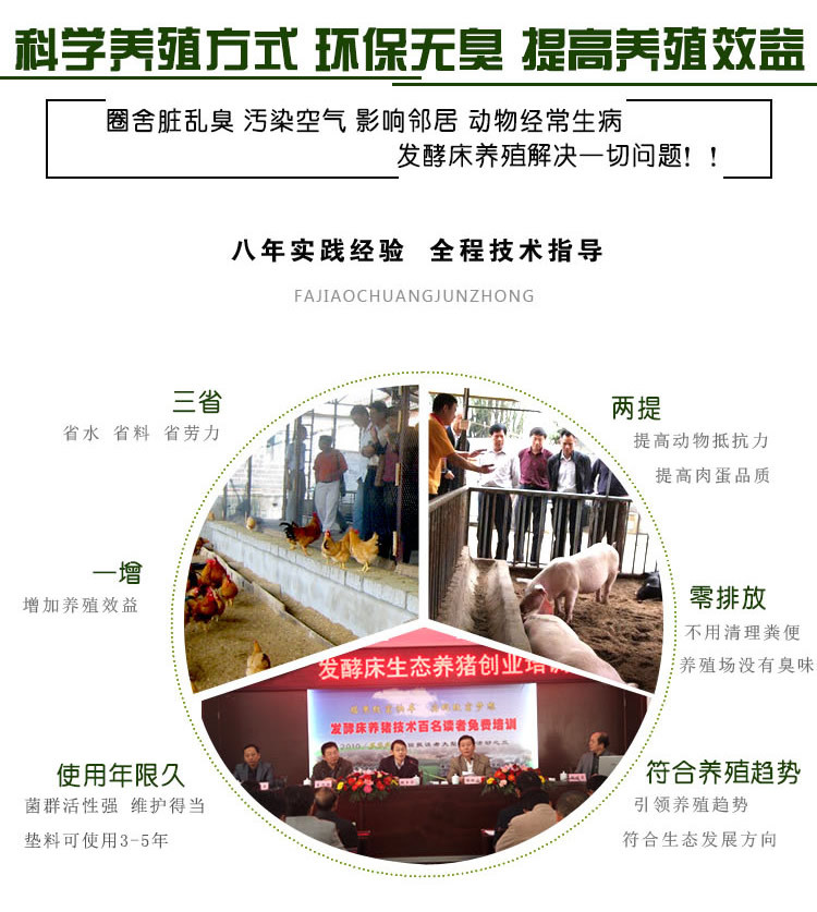 发酵床养鸡好处