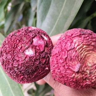 ������خa��t��С���tĢ�� �Ҝ�һ��؛Դɢ�b���l����t����