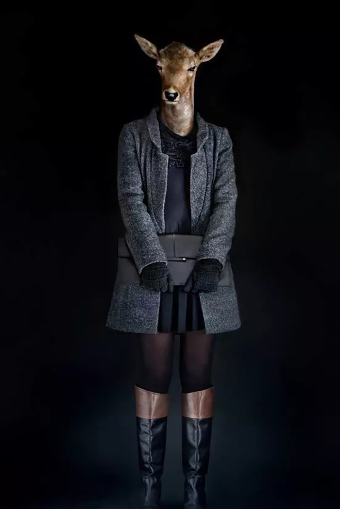 �����װ������������̳��������������չ�᲼�õ���������װ