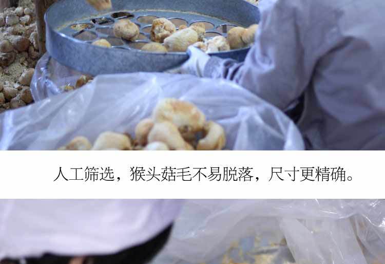 猴头菇-详情图al_07