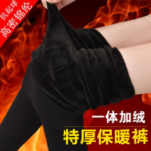 冬季加厚加绒锦纶抗起球保暖一体裤 高腰大码女士踩脚打底裤批发