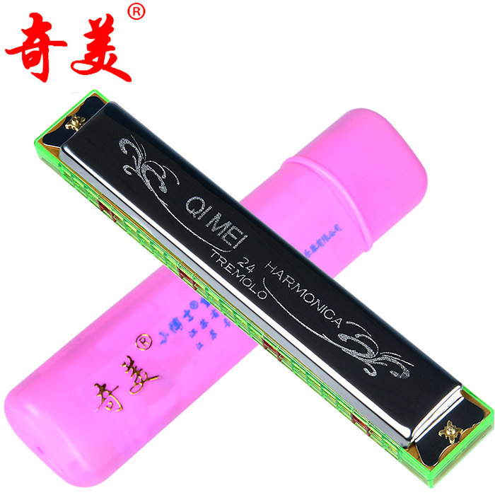 正品奇美小博士複音口琴重音24孔C調口琴 成人初學入門演奏兒童