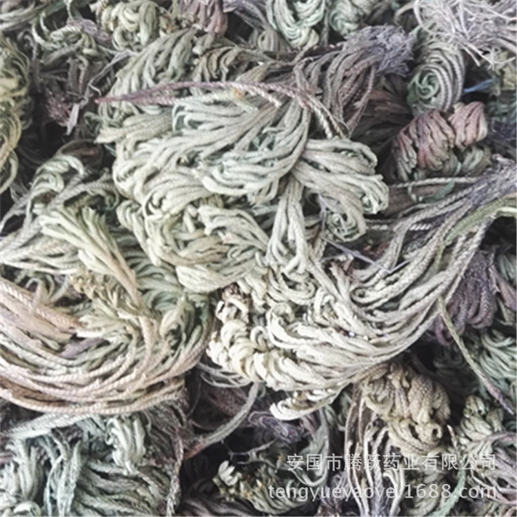Dried Selaginella Juan Bai Whole Herb 1kg Traditional TCM Botanical Resurrection Grass key features