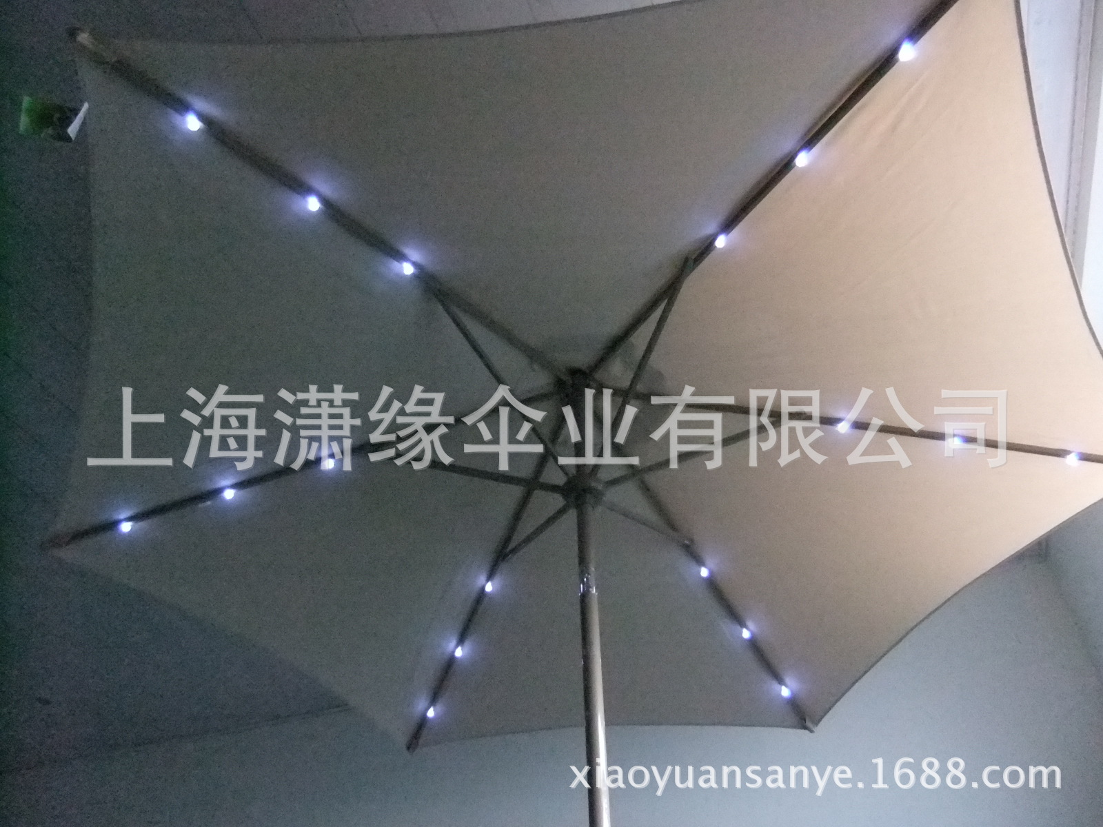 DSCF2240