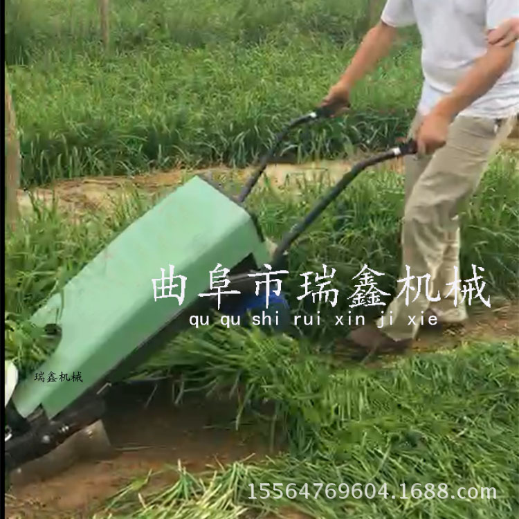 微信圖片_20170605150500