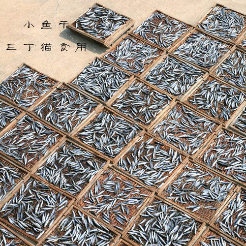 Sanding Cat Snacks Small Fish Dried Freshwater Fish Turtle Food Dry Food Pet Hamster Snacks Bottled River Fresh Dried Fish Non-bulk