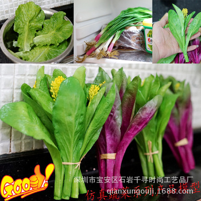 高仿真PVC假蔬菜逼真手感青菜芹菜心大白菜包菜西兰花葱超市模型|ms