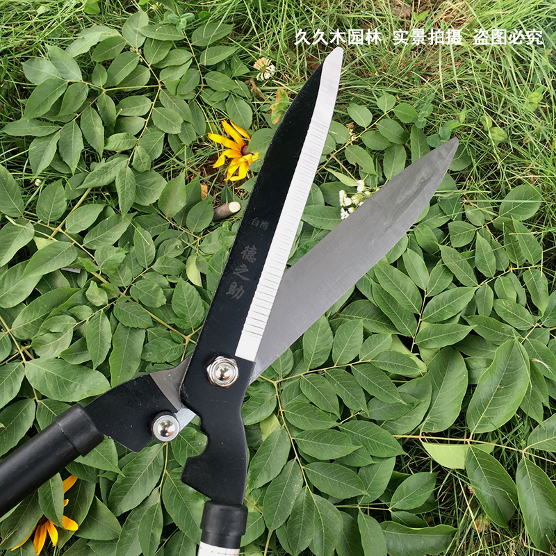 QQ圖片20170621153646