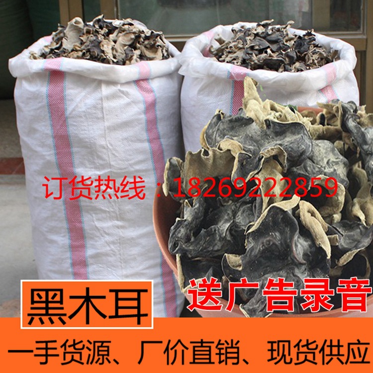 木耳 散裝幹木耳 跑江湖地攤展會新熱賣産品貨源 東北黑木耳年貨