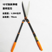 �@�ֹ��߻h�ʼ��� 12����L����s��ƺ�� ���þG����֦�@�ֈ@ˇ��