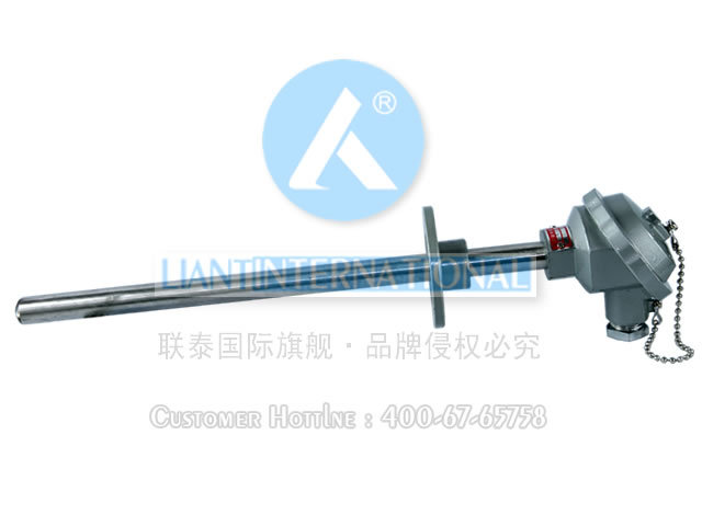 WZC2-320 装配式双支铜热电阻 中天仪表