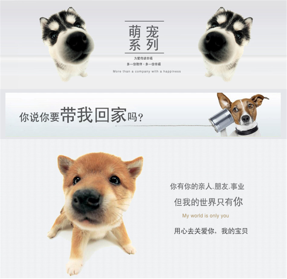 TB2V1kytItnpuFjSZFKXXalFFXa_!!