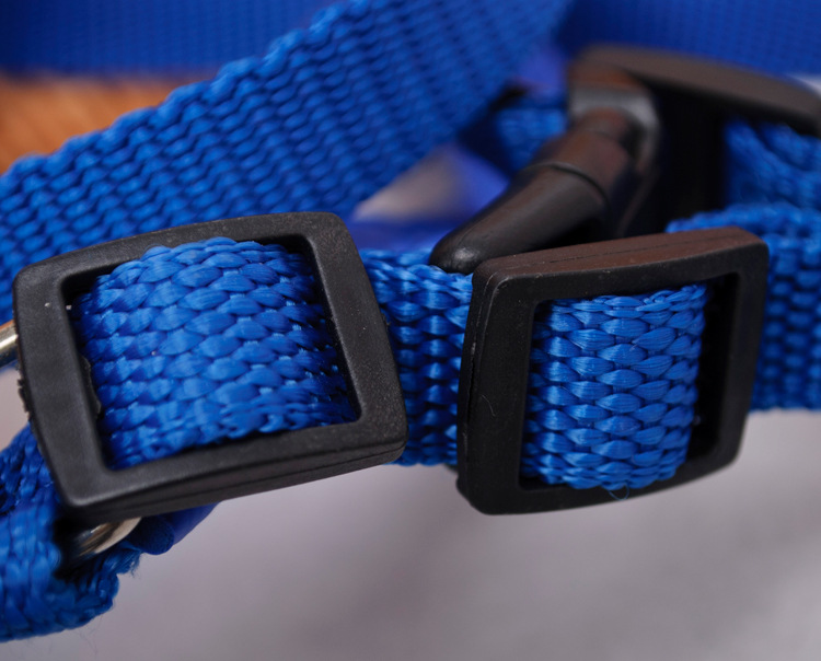 Pet supplies Pet supplies 2021 spot wholesale pet supplies dog foam chest back dog rope anti-rope dog walking rope a replacement hair Specification drawing