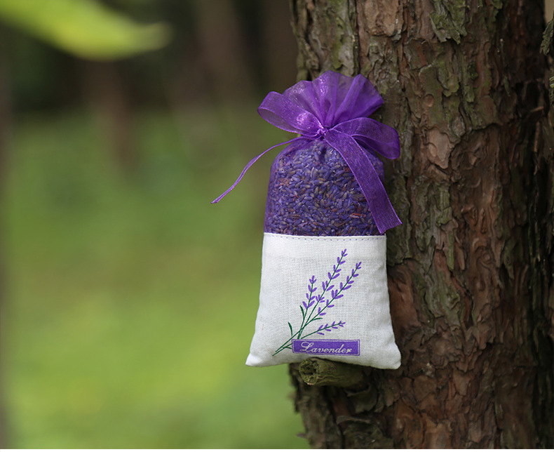 5紫花薰衣草外景