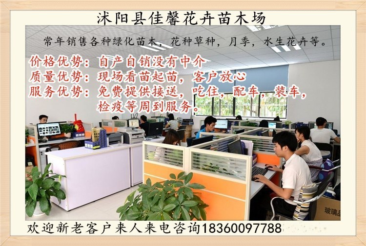 3961465386_924174018