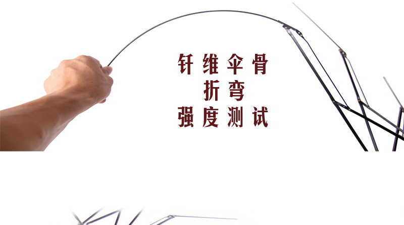 3513343908_878290307_03